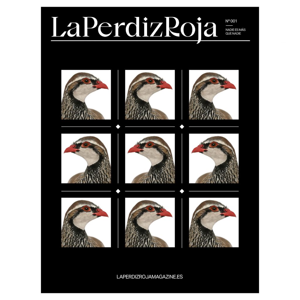 portada de perdices