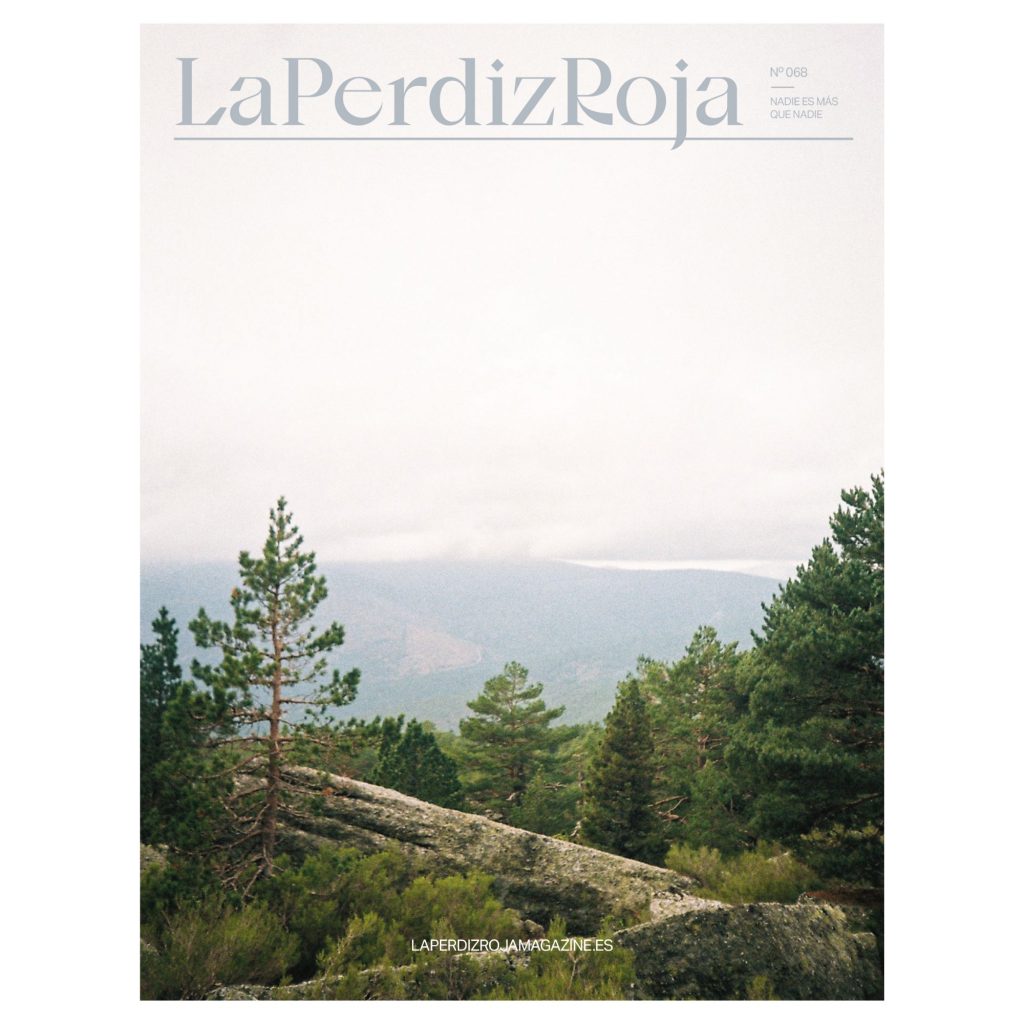 Portada articulo nº69. Setas con kogor