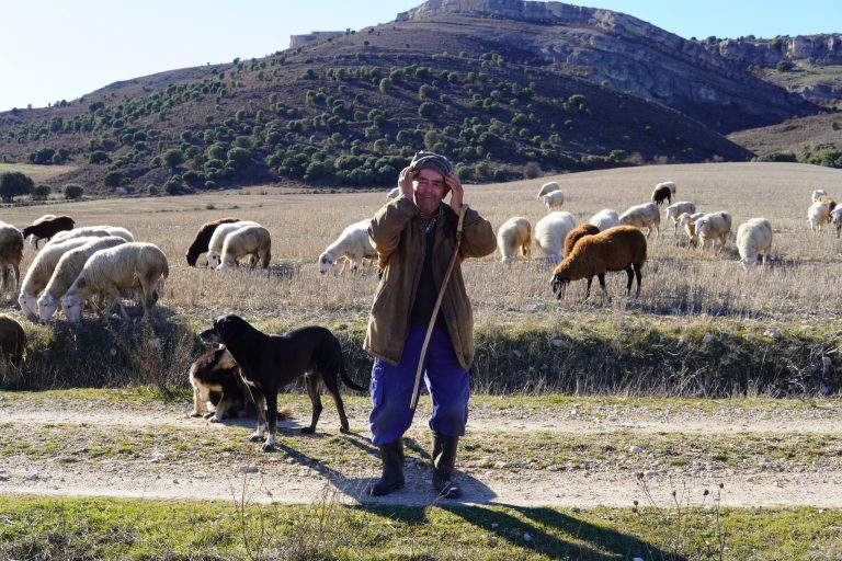 el paisaje y el caracter