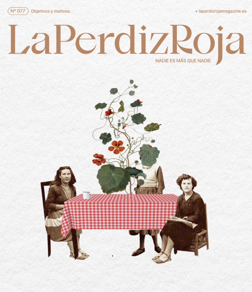 Portada 8m