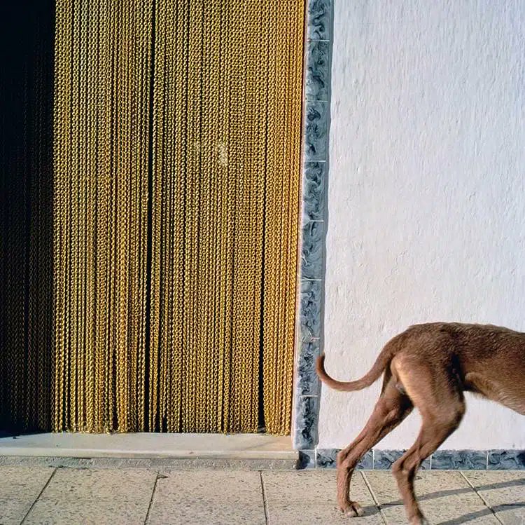 Foto de Carlos Pérez Siquier