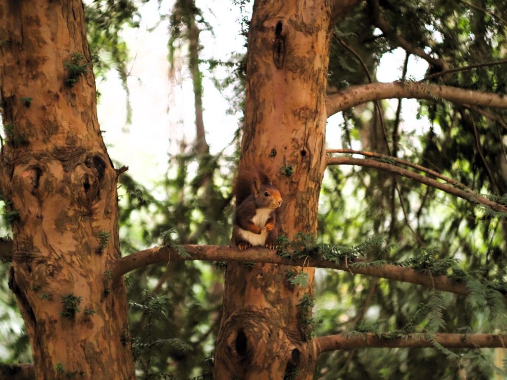 Fotografía de Mythical Iberia