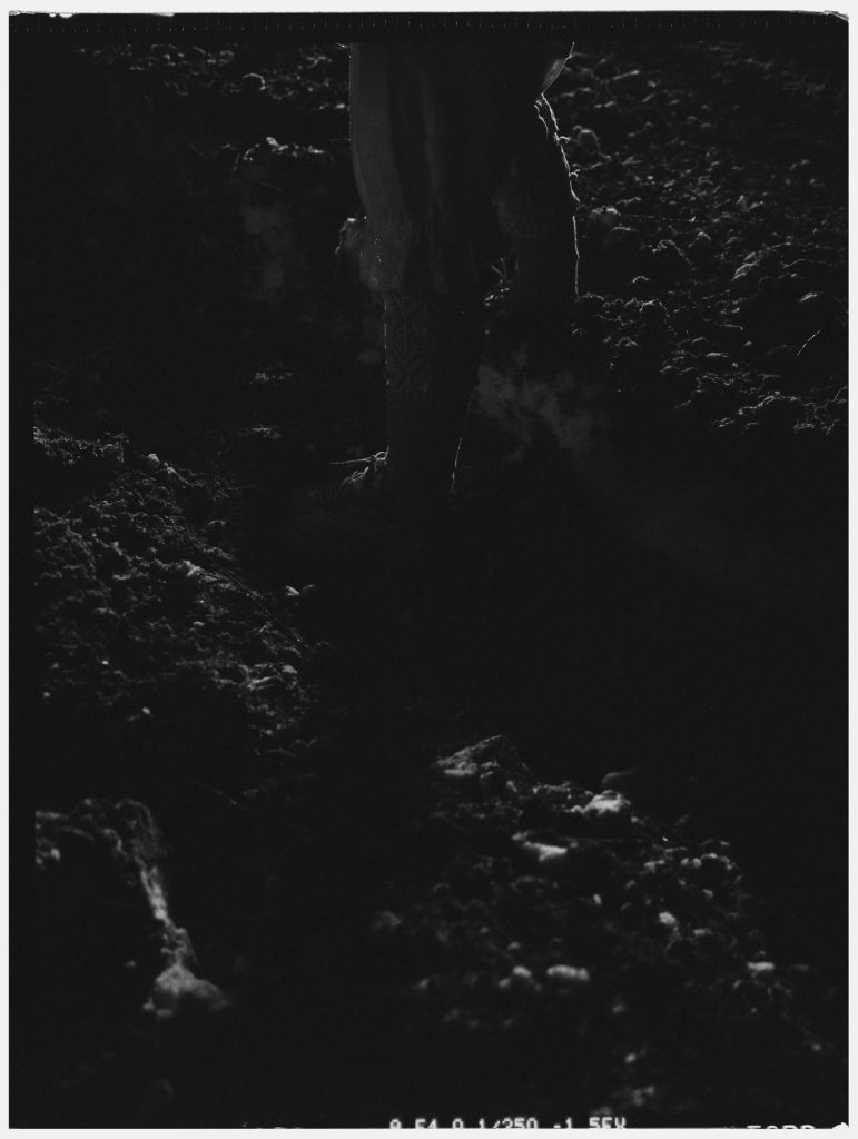 lpr-cancionero-burgales-11