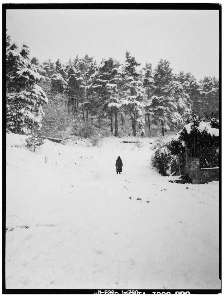 lpr-cancionero-burgales-9