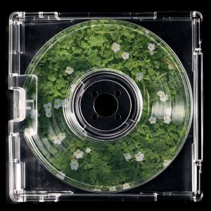 descarga (12)
