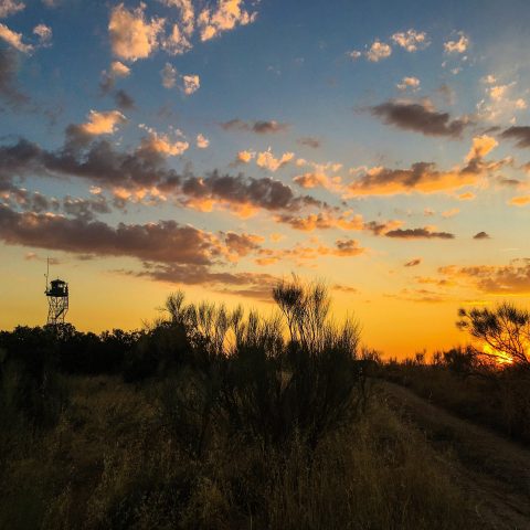 atardecer en el campo