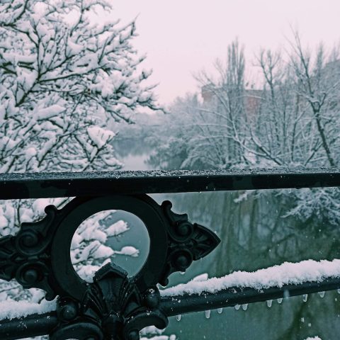 Processed with VSCO with c1 preset