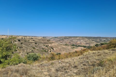 Campo de La Alcarria