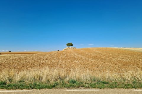 Mar de Castilla, pero en La Alcarria