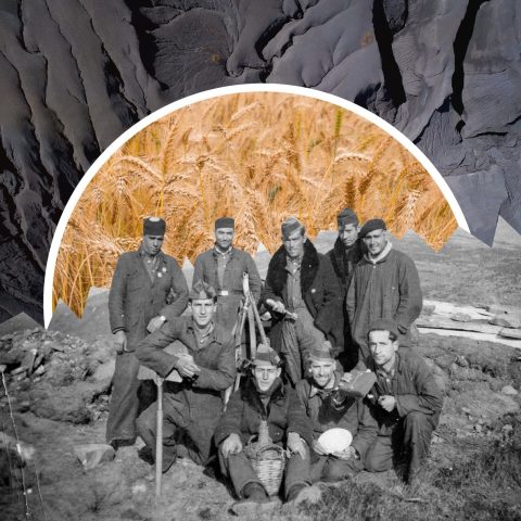 36b10d0b-a19b-4558-8da0-154282e077c0