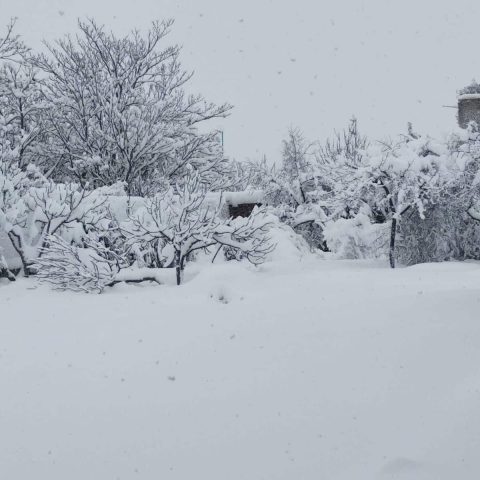 52406e97-1348-4756-bd5e-dfc66407066f