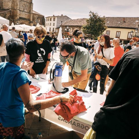 Todos los derechos reservados