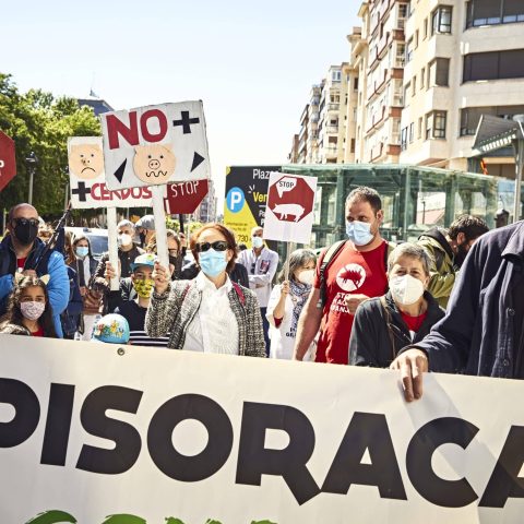 _D5A3207 Calidad JPEG 100