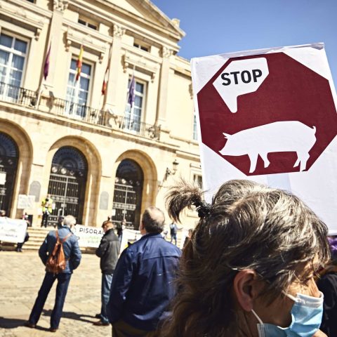 _D5A3252 Calidad JPEG 100