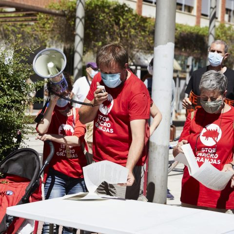 _D5A7105 Calidad JPEG 100