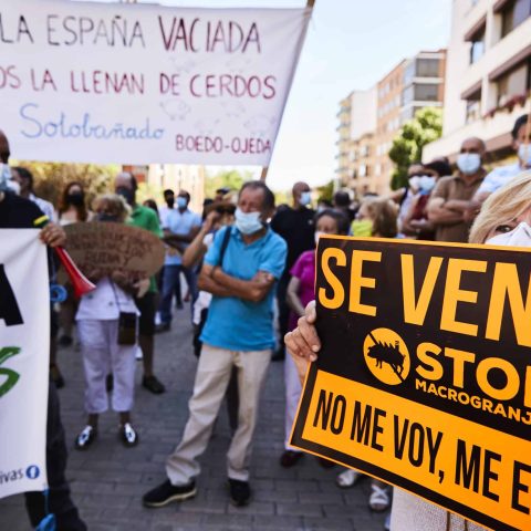 _D5A7117 Calidad JPEG 100