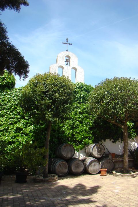 DSC01161