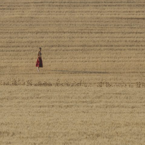 EL CARRUSEL · CASTILLA_MAL_RV_2812