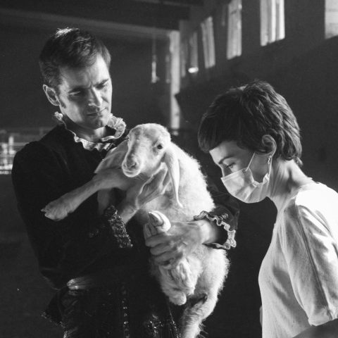 EL CARRUSEL · CASTILLA_MAL_RV_7348