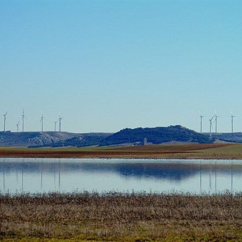 Laguna_Boada_detalle