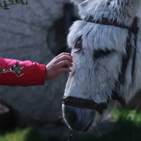 MVI_7969.00_00_19_23.Imagen fija005