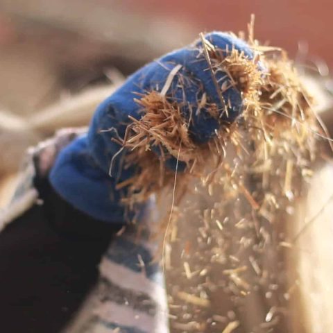 MVI_7969.00_03_50_02.Imagen fija054