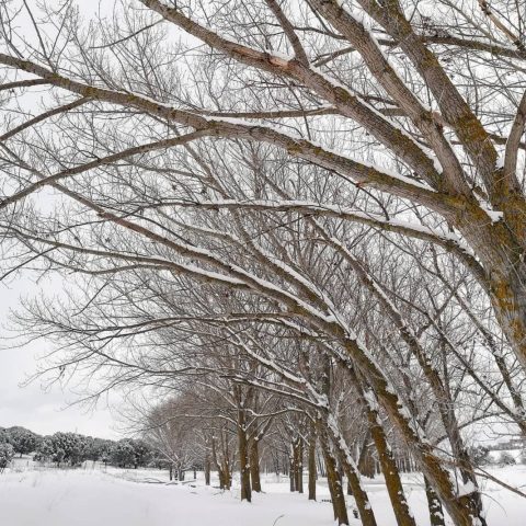 Screenshot_20220104_224408