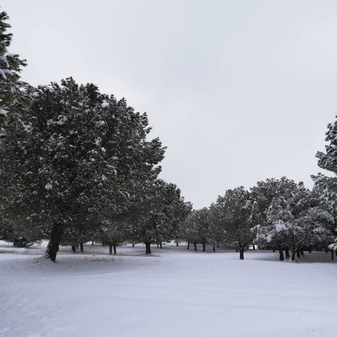 Screenshot_20220104_224508 (1)