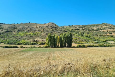 Valle fluvial de La Alcarria