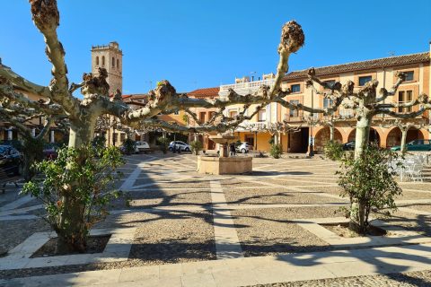 Pueblo de Torija, en Guadalajara