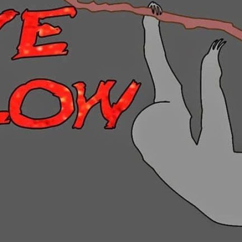 live slow